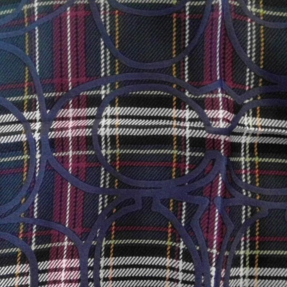 Silk Coach Scarf - Gorgeous! - Picture 2 of 5
